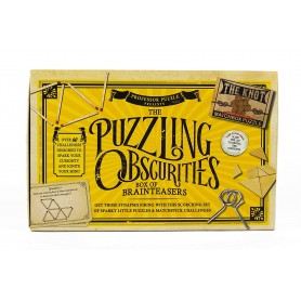 Puzzling Obscurities Professor Puzzle - 1