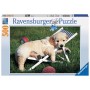 Puzzle Ravensburger 500 teile Golden Retriever Welpe - Ravensburger