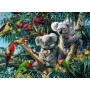 Puzzle Ravensburger Koalas im Baum 500 teile - Ravensburger