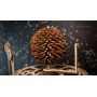 Planetarischer Puzzle eco wood art 534 teile - Eco Wood Art