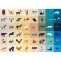 1000-teiliges cloudberries Wildlife Puzzle Cloudberries - 3