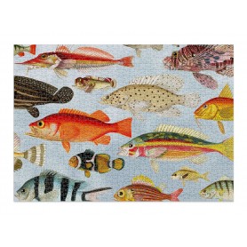 1000-teiliges Aquatic cloudberries Puzzle Cloudberries - 1