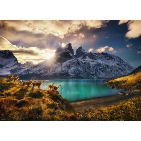 1000-teilige Sguanacos Heye Puzzle Heye - 2