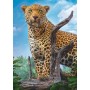 500 Teile Wild Leopard Puzzle Trefl - Puzzles Trefl
