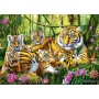 Puzzle Trefl Tiger Familie von 500 teile - Puzzles Trefl