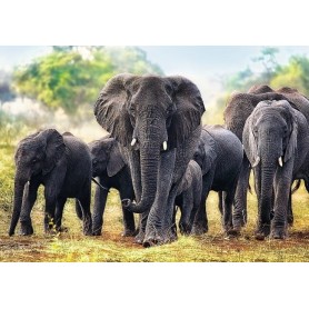 Puzzle Trefl Afrikanischen Elefanten 1000 Teile Puzzles Trefl - 1