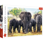Puzzle Trefl Afrikanische Elefanten 1000 teile - Puzzles Trefl