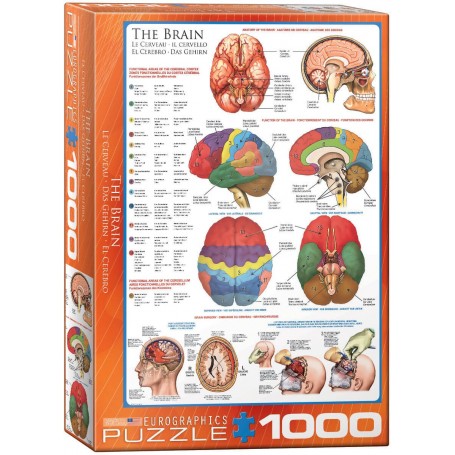 Puzzle Eurographics Das Gehirn von 1000 teile - Eurographics