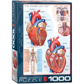 Puzzle Eurographics Das Herz von 1000 Teile Eurographics - 1