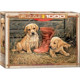 Puzzle Eurographics etwas Altes etwas Neues 1000 Teile Eurographics - 1