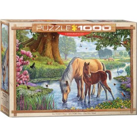 Puzzle Eurographics Die Colts wurde in Steve Crispy 1000 Pieces reduziert Eurographics - 1