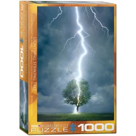Puzzle Eurographics Lightning Hitting a 1000-Piece Tree Eurographics - 1