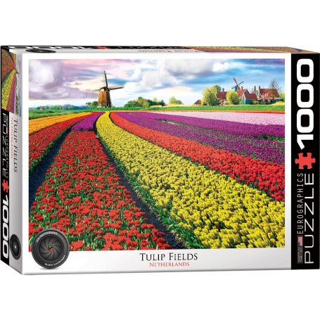 Puzzle Eurographics Tulip Field, Niederlande von 1000 teile - Eurographics