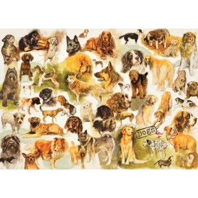 Puzzle Jumbo 1000-Teilige Hunde poster Jumbo - 1