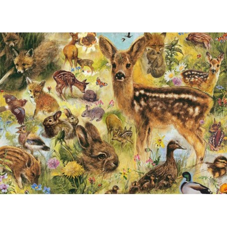 Puzzle Jumbo Junge Wildtiere von 1000 teile - Jumbo
