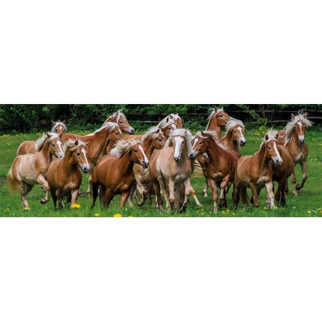 Puzzle Jumbo Pferde im Prado von 1000 Panorama- teile - Jumbo