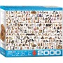 Puzzle Eurographics Die Welt der Hunde 2000 teile - Eurographics