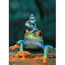 Puzzle Eurographics 1000-teiligen Rotaugenfrosch Eurographics - 1