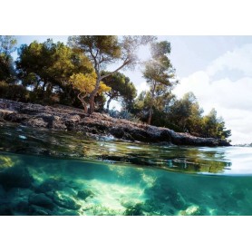 Puzzle Ravensburger 1000-teilige Ansichten Ravensburger - 1