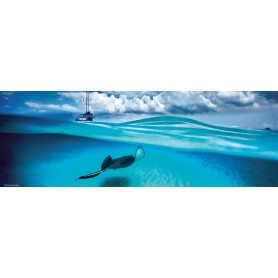Puzzle Heye Stingray Panoramico 1000 Teile Heye - 1