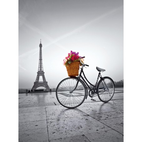 Puzzle Clementoni Romantischer Spaziergang in Paris Von 500 teile - Clementoni