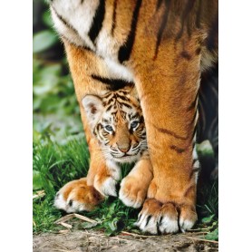 Puzzle Clementoni 500-teilige bengal Tiger Welpen Clementoni - 1