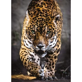 Puzzle Clementoni Der Pass des 1000-teiligen Jaguars Clementoni - 1