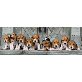 Puzzle Clementoni Panoramico Beagles 1000 Teile Clementoni - 1