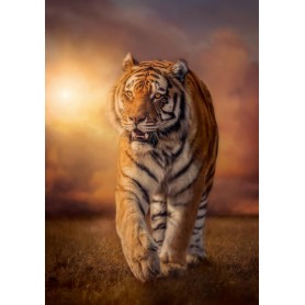 Puzzle Clementoni 1500-teiligen Sunset Tiger Clementoni - 1