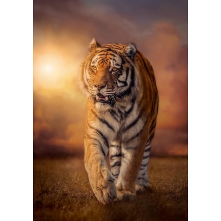 Tiger Sonnenuntergang Puzzle Clementoni 1500 teile - Clementoni