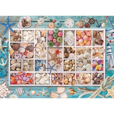 Puzzle Eurographics 1000 teile Shell Collection - Eurographics