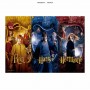 Puzzle Sdgames Ron, Harry Y Hermione 1000 Teilee SD Games - 1