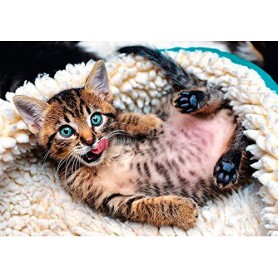 Puzzle Trefl Glückliches Kätzchen, 1000 Teile Puzzles Trefl - 1