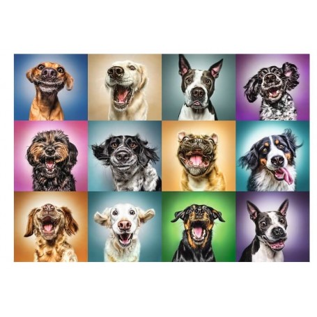 Puzzle Trefl Lustige Hundeporträts, 1000 Teile Puzzles Trefl - 1