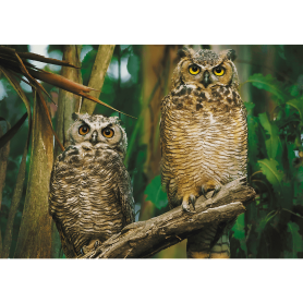 Puzzle Trefl Eulen, 1000 Teile Puzzles Trefl - 1