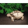 Eco Wood Art Schildkröte Eco Wood Art - 3
