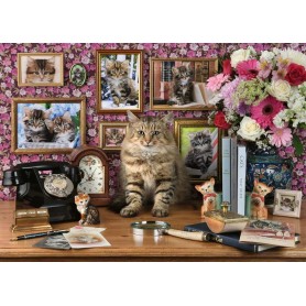 Puzzle Ravensburger Meine kleine Katze 1000 Teile Ravensburger - 1