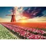 Puzzle Educa Tulpenlandschaft 1500 Teile Puzzles Educa - 1