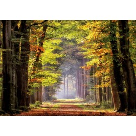Puzzle Educa Herbstspaziergang von 1000 Teile Puzzles Educa - 1