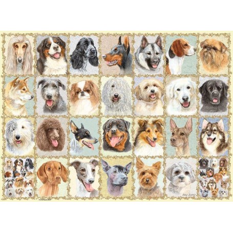 Puzzle Ravensburger Hundeportraits 500 Stück Ravensburger - 1