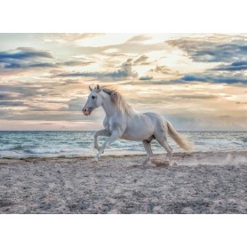 Puzzle Ravensburger Weißes Pferd von 500 Teilen Ravensburger - 1