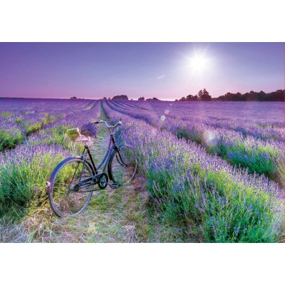 Puzzle Educa Fahrrad in Lavendel Feld von 1000 Teilen Puzzles Educa - 1