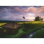 Puzzle Ravensburger Reisfelder in Bali von 500 Teilen Ravensburger - 1