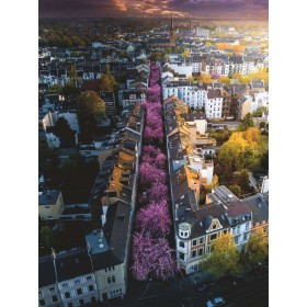 Puzzle Ravensburger Blühende Stadt Bonn 1500 Teile Ravensburger - 1