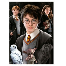 Puzzle Educa Harry Potter (Miniatur-Stücke) von 1000 Teilen Puzzles Educa - 1
