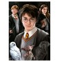 Puzzle Educa Harry Potter (Miniatur-Stücke) von 1000 Teilen Puzzles Educa - 1