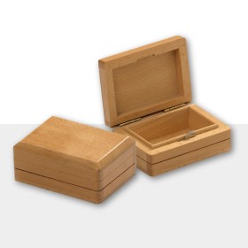 Die geheime Truhe Philos - 1