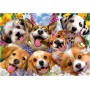 Educa Doggy Selfie Puzzle 1000 Teile Puzzles Educa - 2