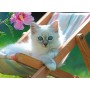 Ravensburger Weißes Kätzchen XXL Puzzle mit 200 Teilen Ravensburger - 2