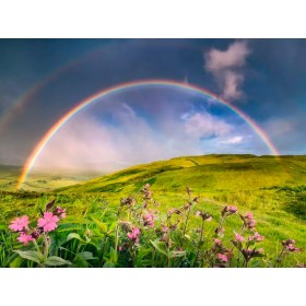 Puzzle Ravensburger Spektakulärer Regenbogen mit 1500 Teilen Ravensburger - 1